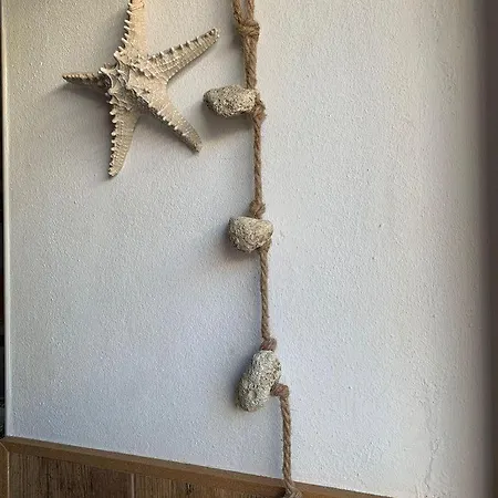 Casa En Brother Law Sl * Conil De La Frontera