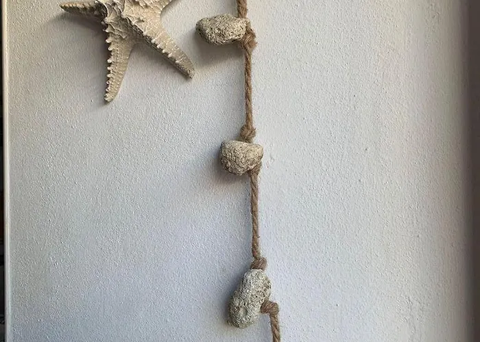 Casa En Brother Law Sl * Conil De La Frontera